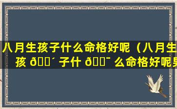 八月生孩子什么命格好呢（八月生孩 🌴 子什 🐯 么命格好呢男孩）